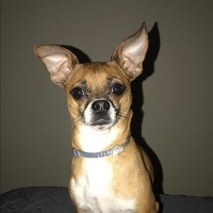 Meet your Posher, Cailee